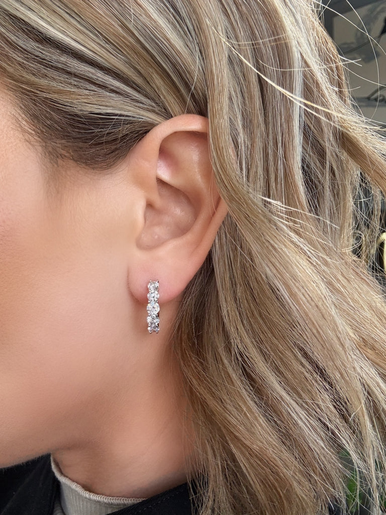 The Diamond Hoops