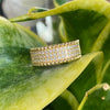 Pave Band